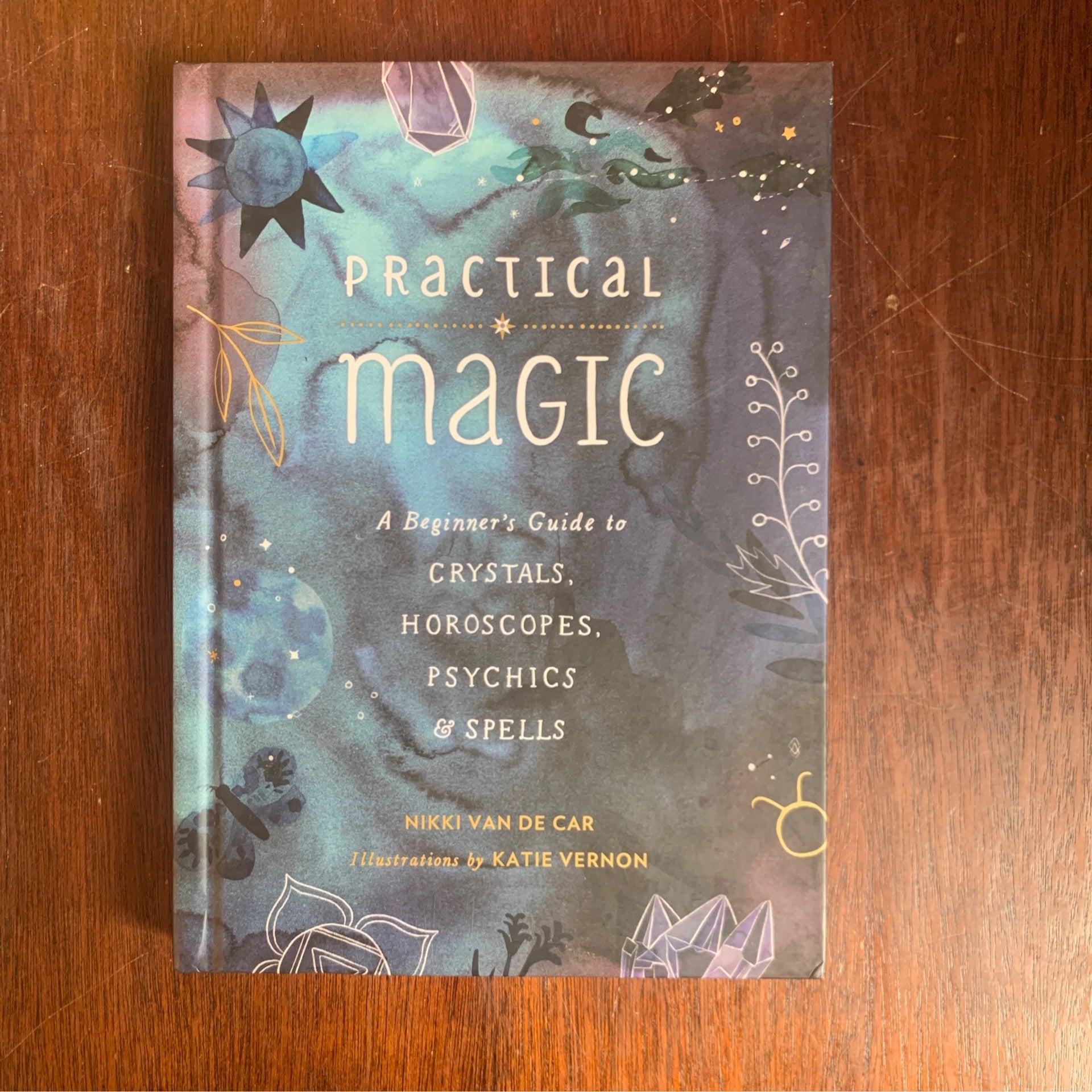 Practical Magic by Nikki Van De Car